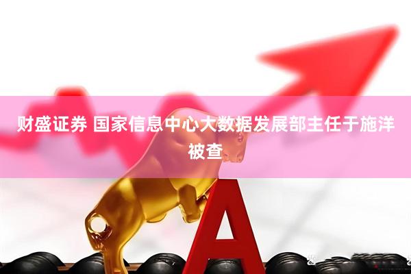 财盛证券 国家信息中心大数据发展部主任于施洋被查