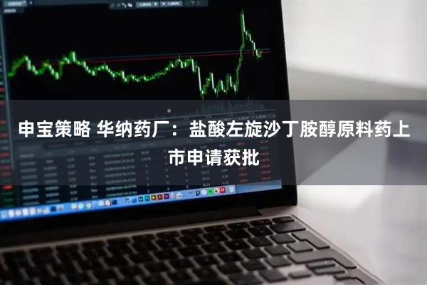 申宝策略 华纳药厂：盐酸左旋沙丁胺醇原料药上市申请获批