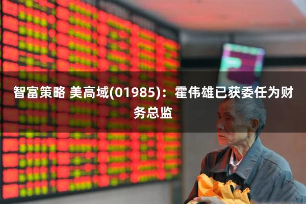 智富策略 美高域(01985)：霍伟雄已获委任为财务总监