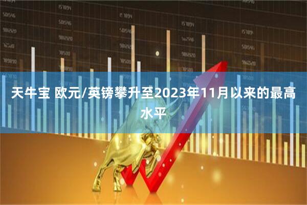 天牛宝 欧元/英镑攀升至2023年11月以来的最高水平