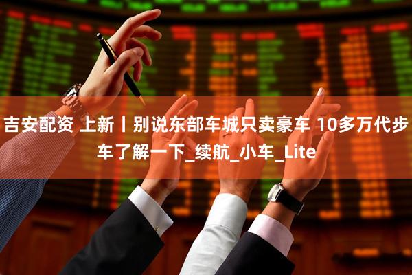 吉安配资 上新丨别说东部车城只卖豪车 10多万代步车了解一下_续航_小车_Lite