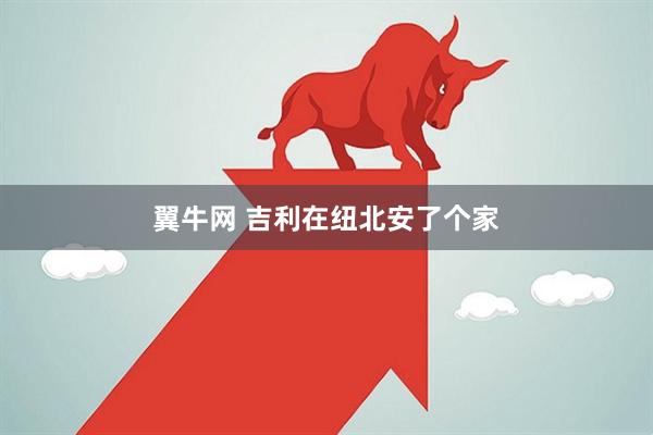 翼牛网 吉利在纽北安了个家